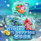 冬季浆果