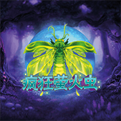疯狂萤火虫
