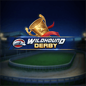 แข่งวิ่งลมกรดสี่ขา