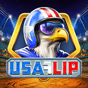 USA Flip