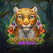 Rainforest Magic