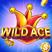 Wild Ace