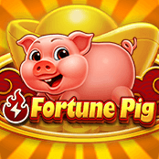 Fortune Pig