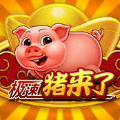 极速猪来了