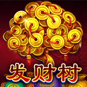 发财树