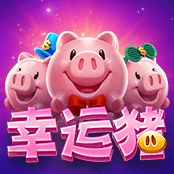 幸运猪