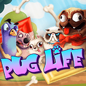 Pug Life