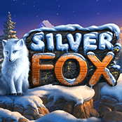 Silver Fox