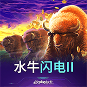 水牛闪电II