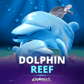 Dolphin Reef