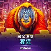 黄金满屋：猩猩!