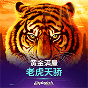 黄金满屋：老虎天骄