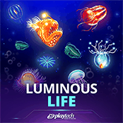 Luminous Life
