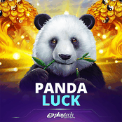 Panda Luck