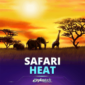 Safari Heat