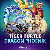 Tiger Turtle Dragon Phoenix