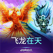 飞龙在天