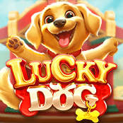 Lucky Dog