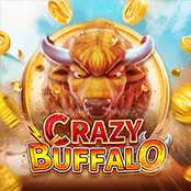 CRAZY BUFFALO
