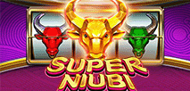 SuperNiubi