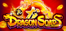 Dragon Soar