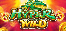 Dragon Soar Hyper Wild