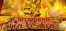 Fortune Treasure