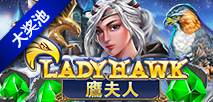 鹰夫人