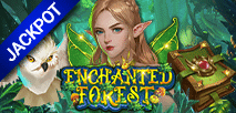 Enchanted Forest
