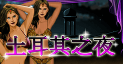 土耳其之夜