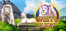 White Lion