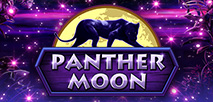 Panther Moon
