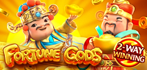 Fortune Gods