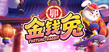 金錢兔