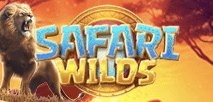 Safari Wilds