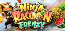Ninja Raccoon Frenzy