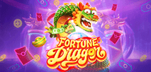 Fortune Dragon