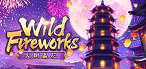 Wild Fireworks