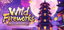 Pháo hoa Wild