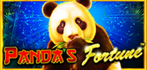 Panda's Fortune