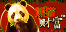 熊貓財富
