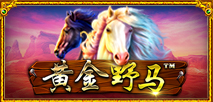 黃金野馬