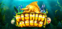 Fishin Reels