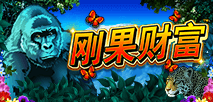 剛果財富