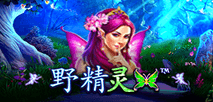 野精靈