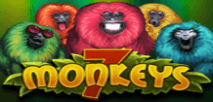 7モンキー