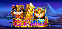 埃及神貓