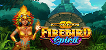 Firebird Spirit Connect and Collect