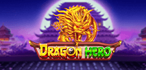 Dragon Hero
