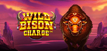 Wild Bison Charge